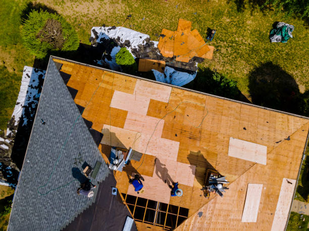 Best Roof Repair Services  in Bon Secour, AL