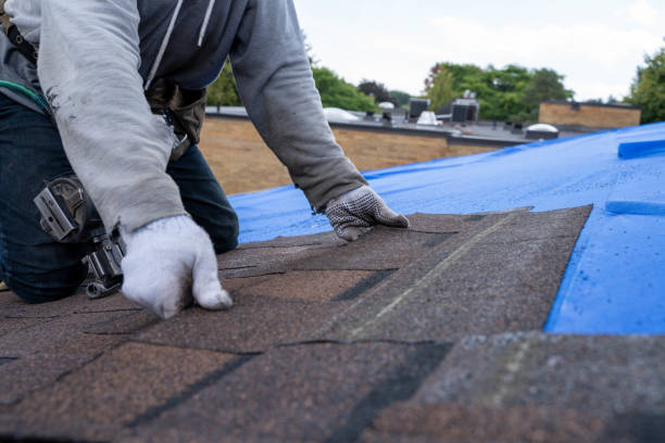 Best Residential Roofing Contractor  in Bon Secour, AL