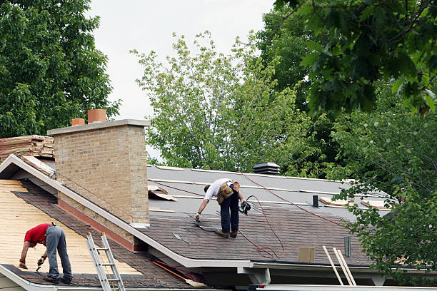 Best Storm Damage Roof Repair  in Bon Secour, AL