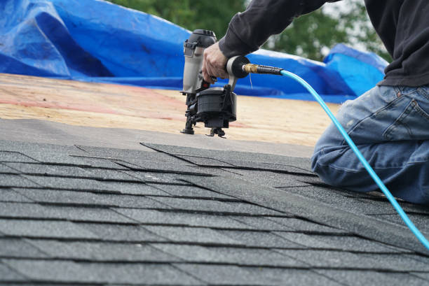 Best Roof Maintenance Services  in Bon Secour, AL