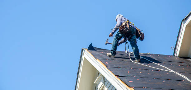 Best Metal Roofing Contractor  in Bon Secour, AL